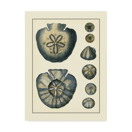 Vision Studio 'Antique Blue Sand Dollar' Canvas Art,14x19